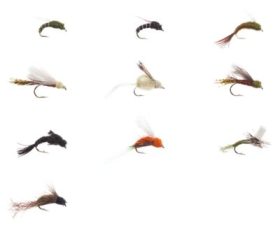 White River Fly Shop 10-Piece Classic Emergers Fly Assortment