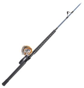 Penn International VIS/Offshore Angler Ocean Master Stand-Up Rod and Reel Combo - Model INT50VISW/OM5680130C