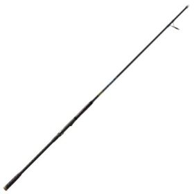 St. Croix Seage Surf Spinning Rod