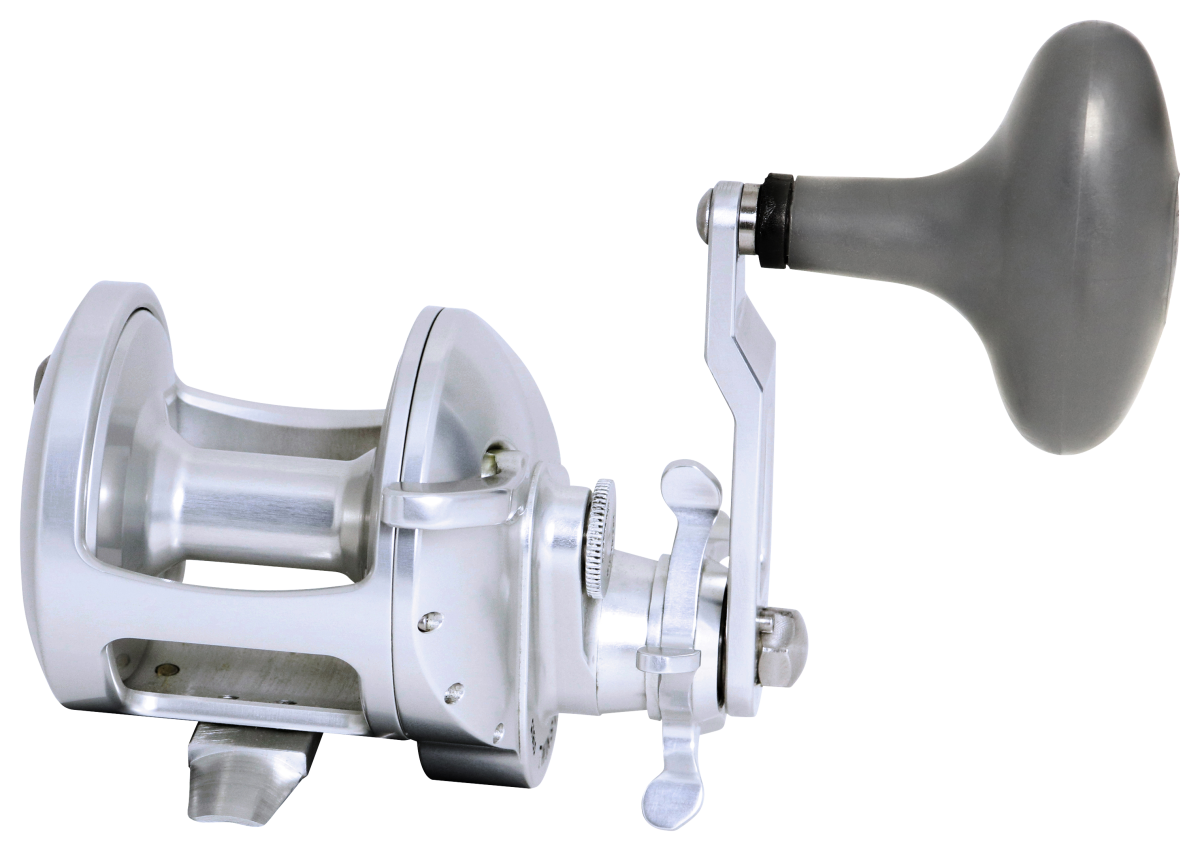 Accurate Tern2 Conventional Reel