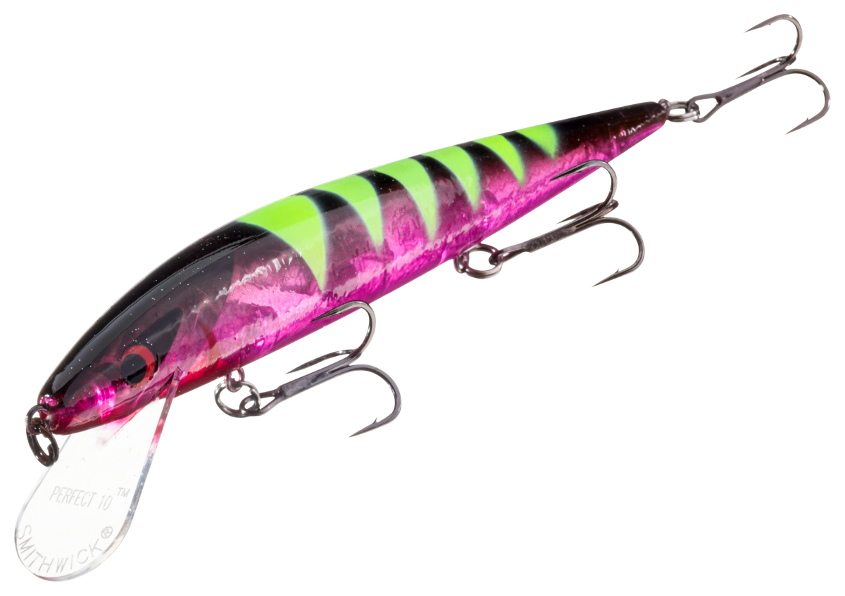 Warrior Lures Custom Painted Smithwick Perfect 10 Rogue - 5-1/2" - Megalodon