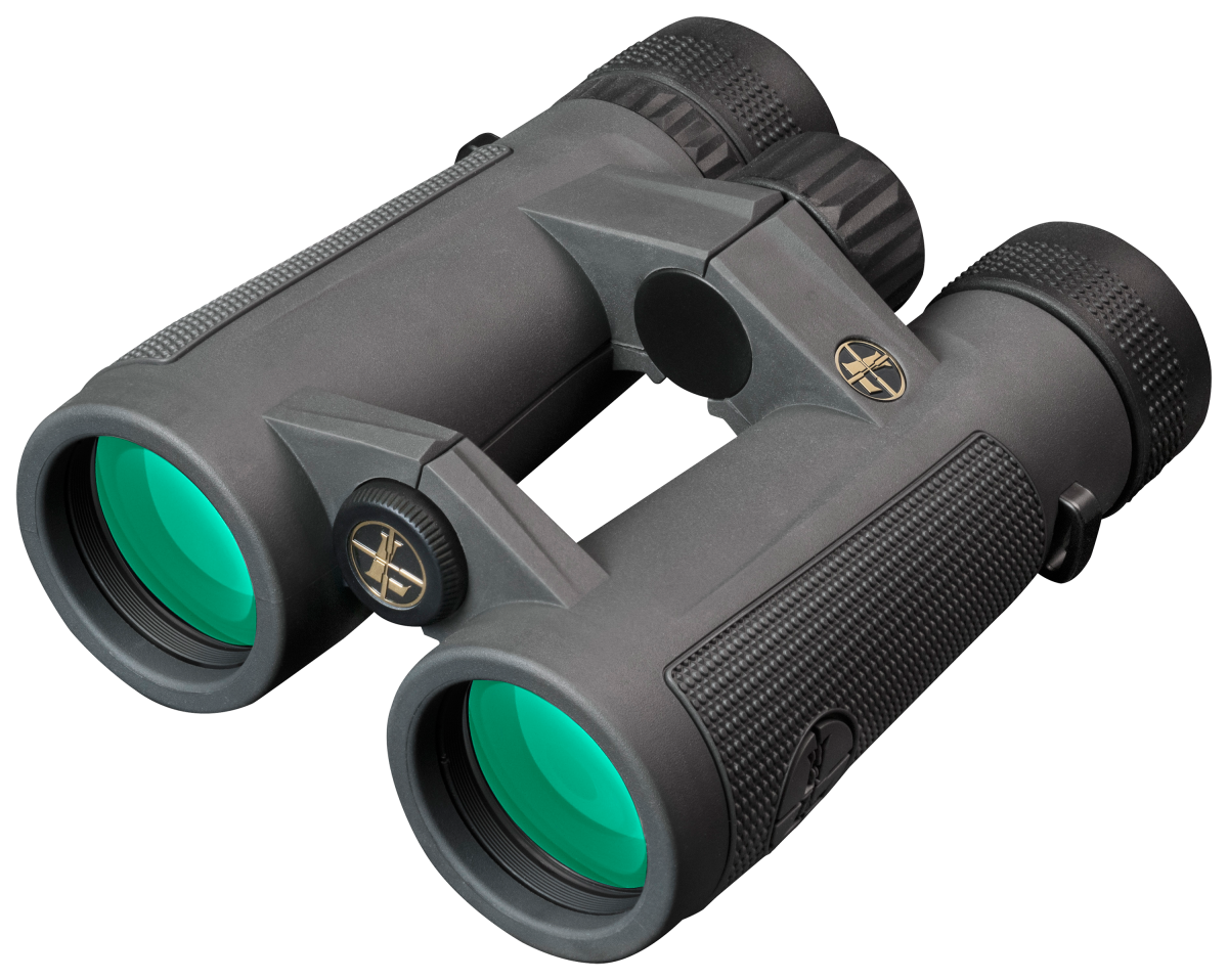 Leupold BX-5 Santiam HD Binoculars - 8x42mm - Shadow Gray