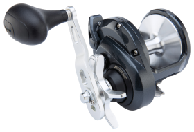 Shimano Torium Star Drag Reel - 5.1:1 - 40 Size