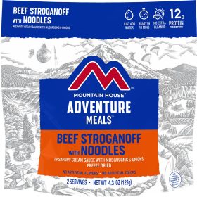 Beef Stroganoff + Noodles