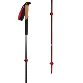 Black Diamond Pursuit Trekking Poles Charcoal/Octane, S/M