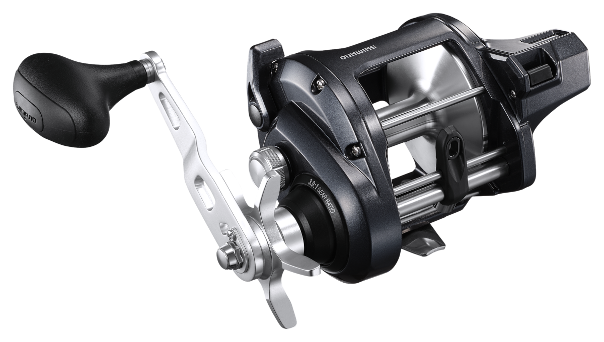 Shimano Tekota A Line Counter Reel - 3.9:1 - 800 Size