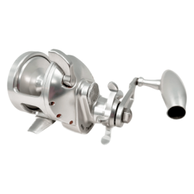 Accurate Tern2 Slow Pitch Conventional Reel - 300 Size - Jigging