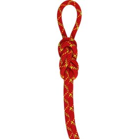 Mammut 8.0 Alpine Core Protect Dry Rope Dry Standard Fire/Halo, 30m