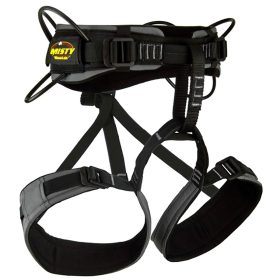 Misty Mountain Cadillac F Harness