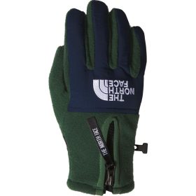 The North Face Denali Etip Glove Pine Needle/Summit Navy, S