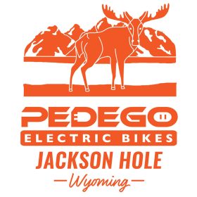 Pedego Touch Up Paint Pen - Element - Matte Orange