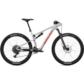 Santa Cruz Bicycles Blur Trail C R Mountain Bike Matte Silver, L