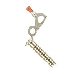 Black Diamond Express Ice Screw, 10 Cm