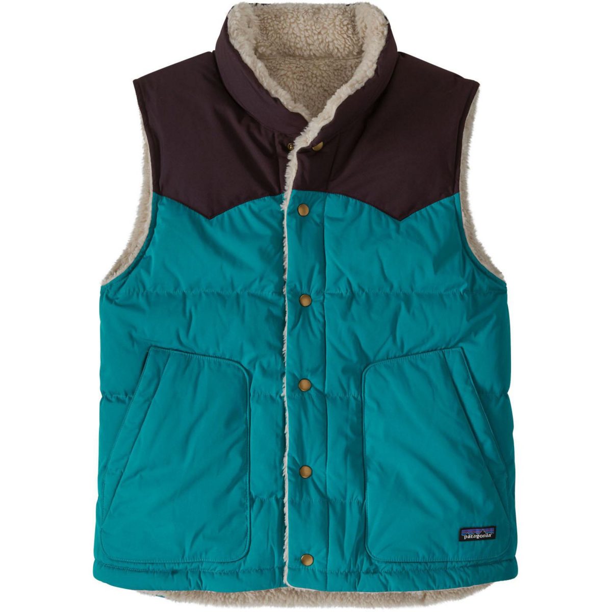 Patagonia Men's Reversible Bivy Down Vest