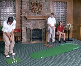 Big Moss Original Golf Putting Green V2 - 3'x9'