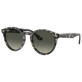 Ray-Ban Larry RB7680S Gradient Glass Sunglasses