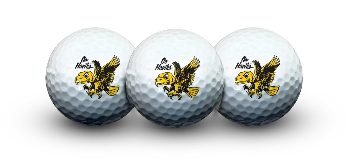 Team Effort NCAA 3-Pack Golf Balls