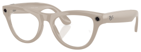 Ray-Ban Meta Skyler RW4010 Transitions Sunglasses