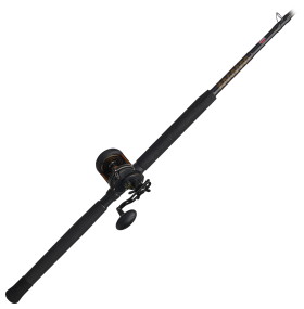 PENN Squall II Star Drag Conventional Combo